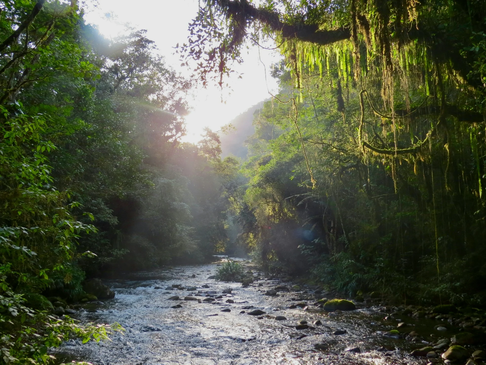 Blue River Resort Tour private tour from Liberia Airport, Guanacaste Costa Rica