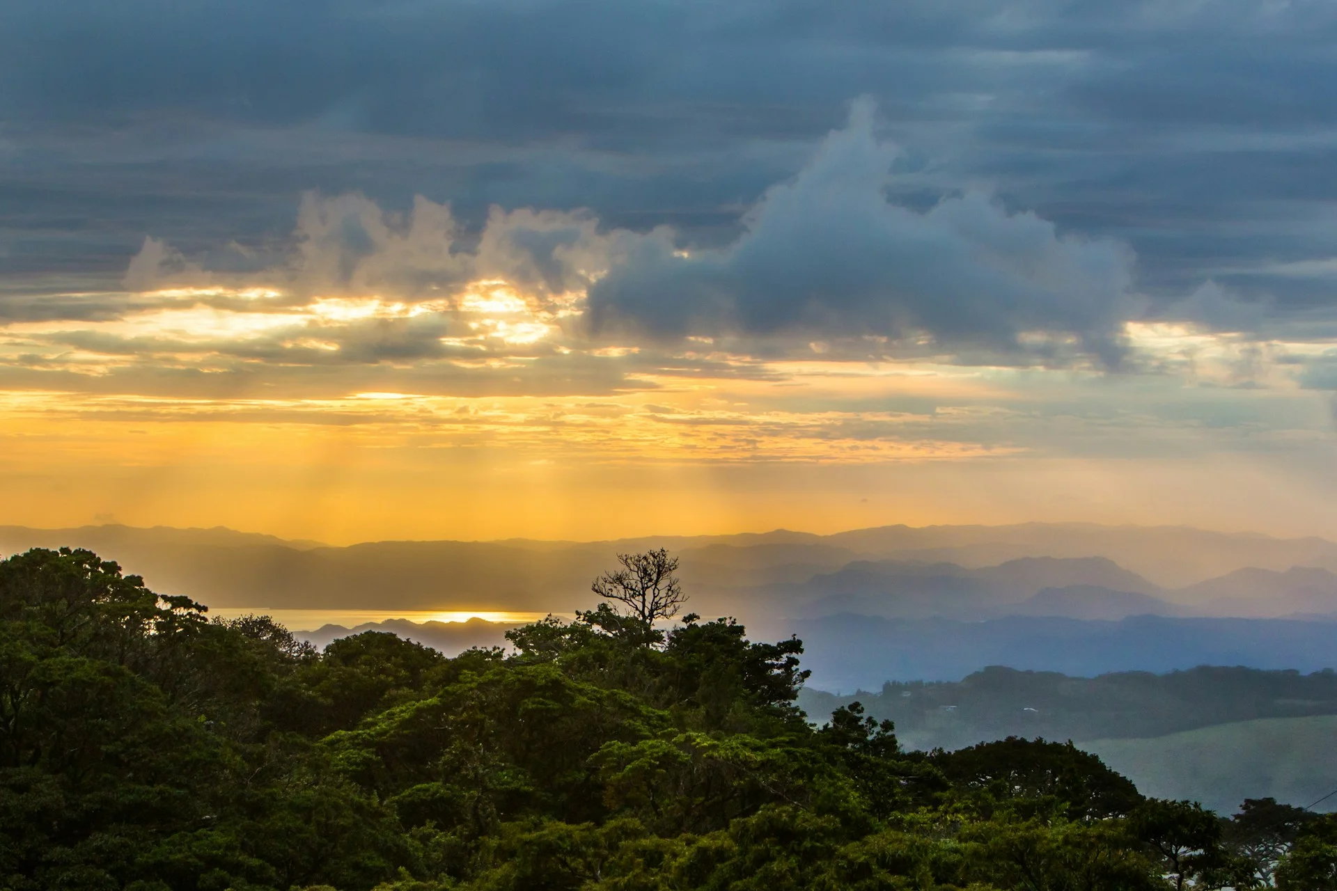 Monteverde Cloud Forest Tour private tour from Liberia Airport, Guanacaste Costa Rica