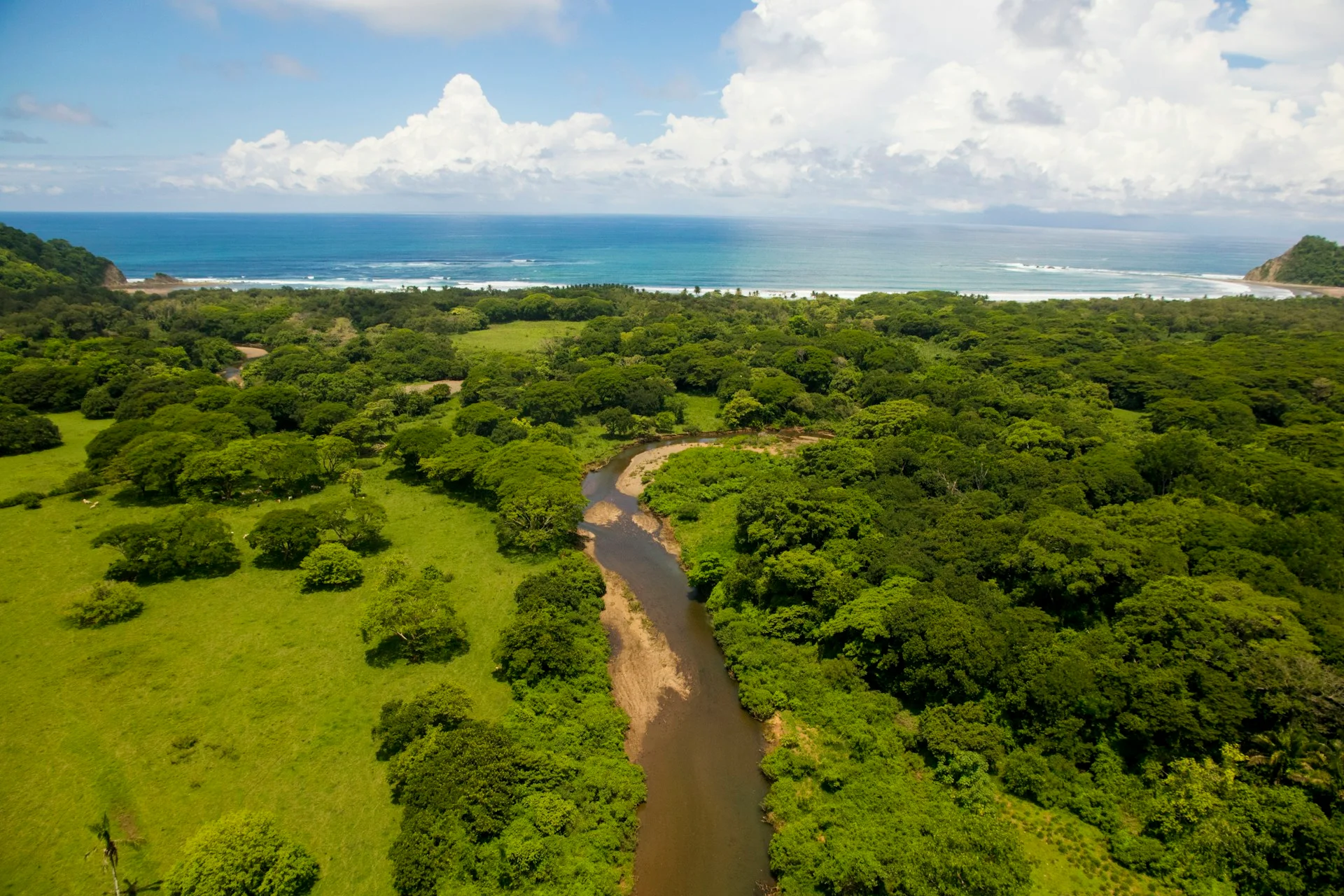 Palo Verde National Park Tour private tour from Liberia Airport, Guanacaste Costa Rica