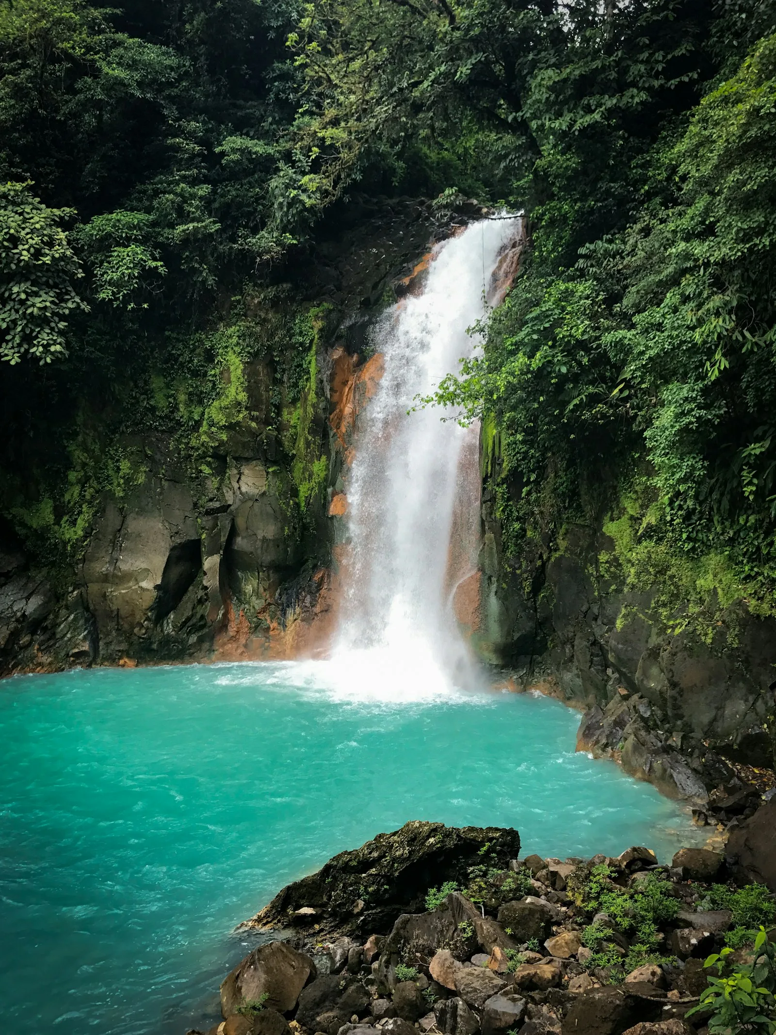 Río Celeste Tour private tour from Liberia Airport, Guanacaste Costa Rica